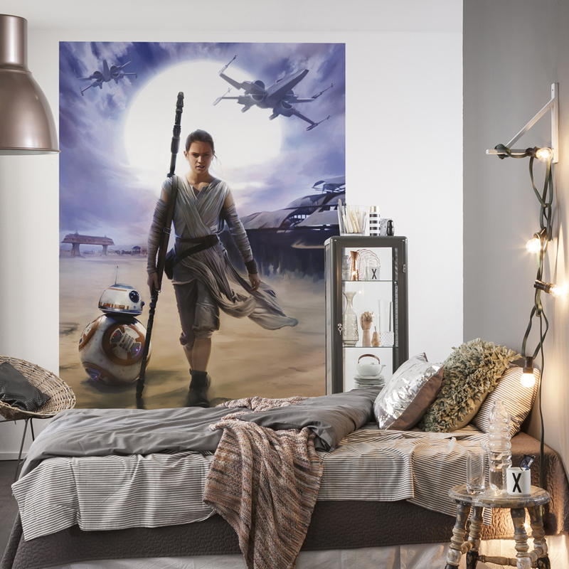 Star Wars Fototapete "Star Wars Rey"