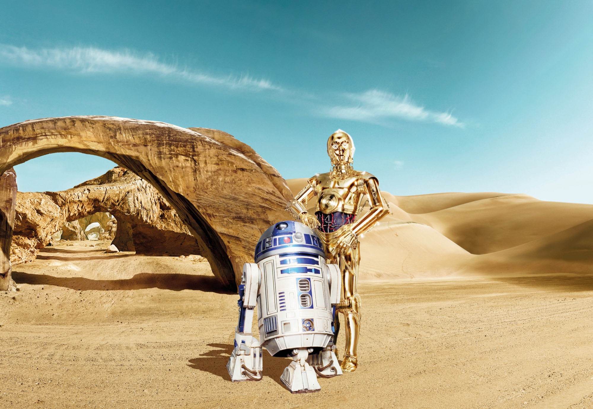 Star Wars Fototapete "Star Wars Lost Droids"